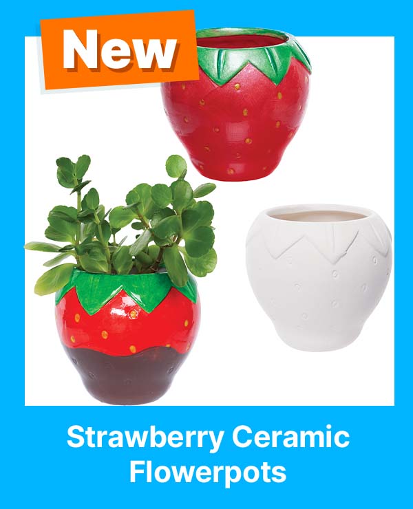 Strawberry Ceramic Flowerpots