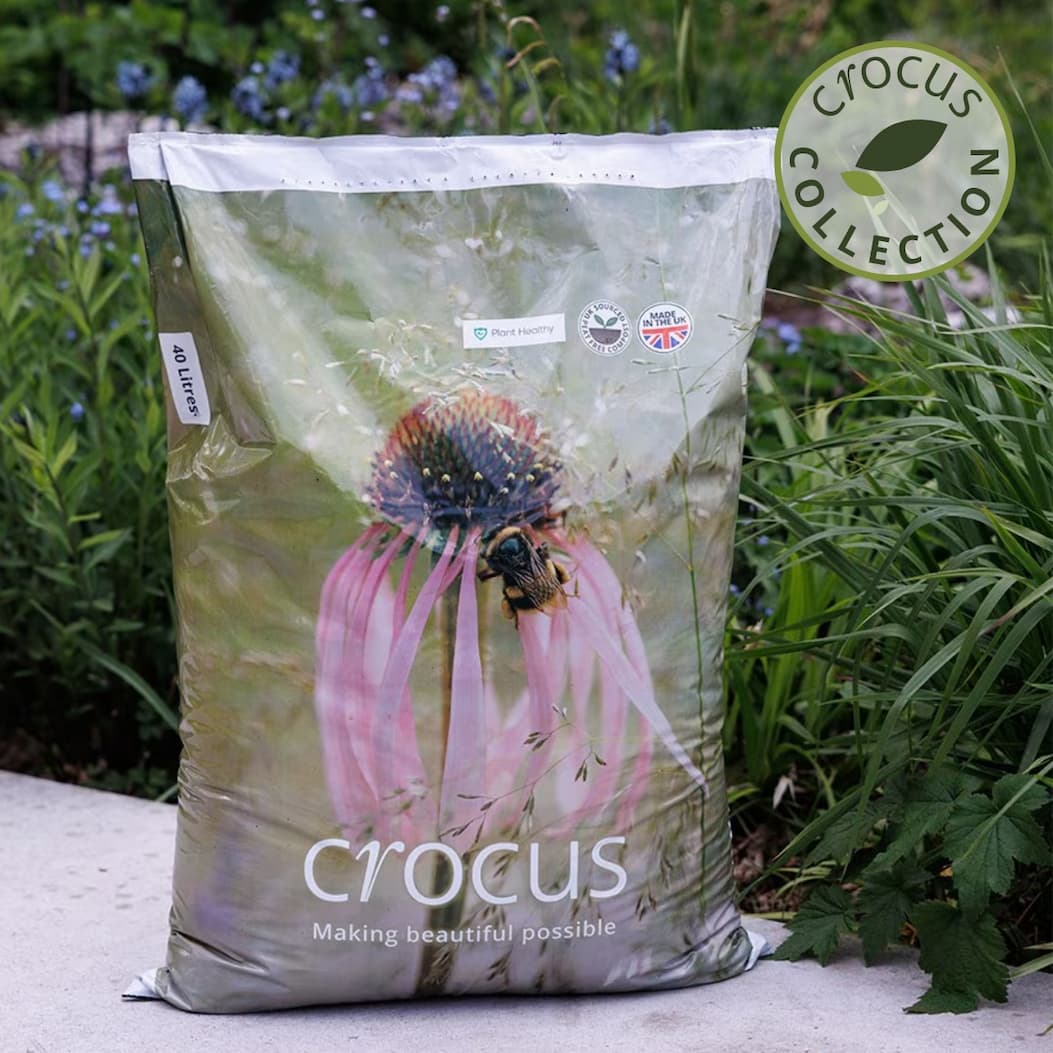 Crocus peat-free compost