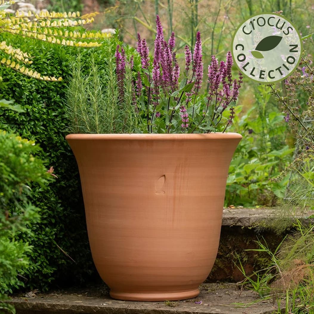 Terracotta perennial bell pot