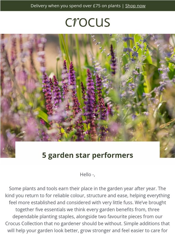 Tried-and-tested favourites for the garden
