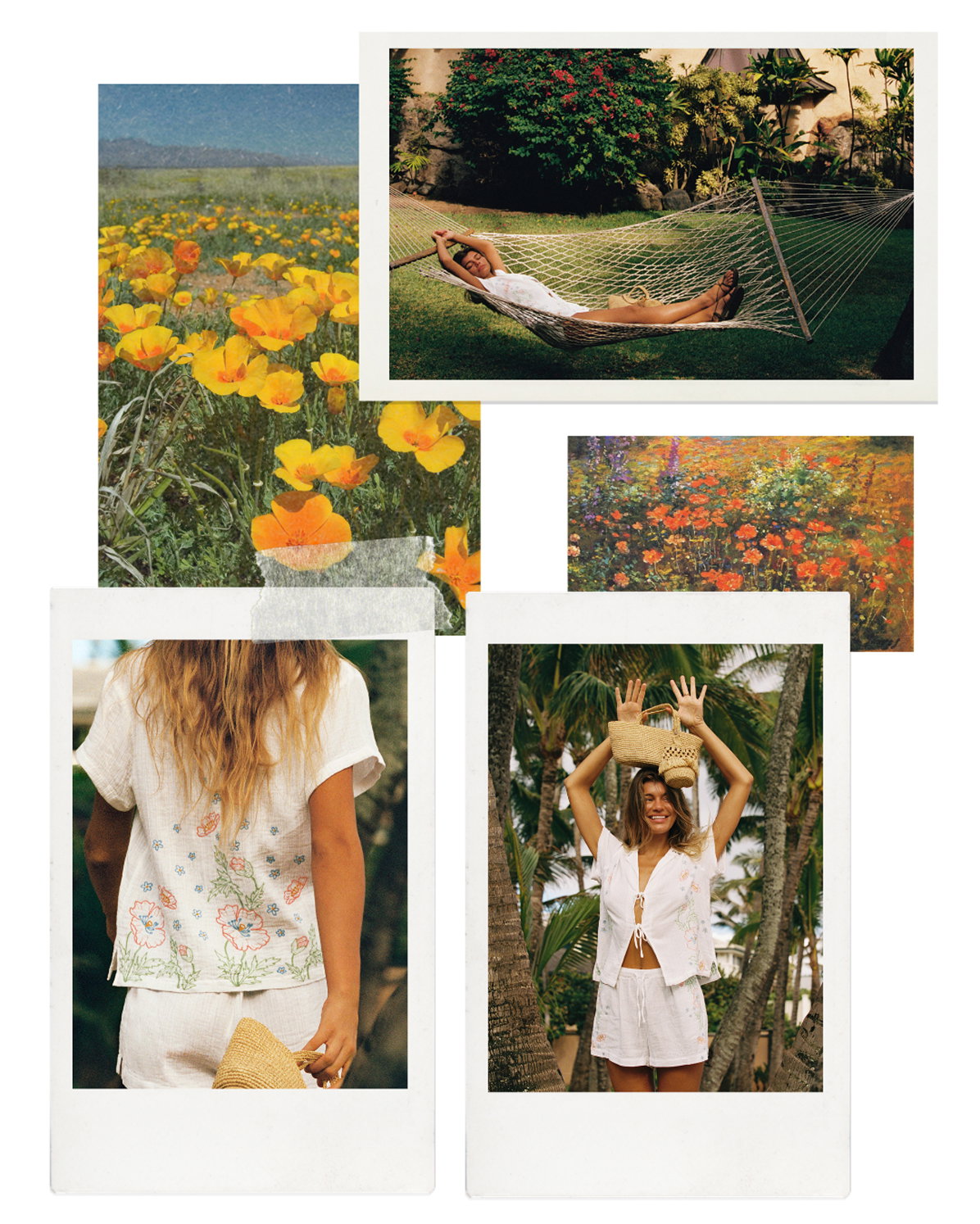 Shop Superbloom