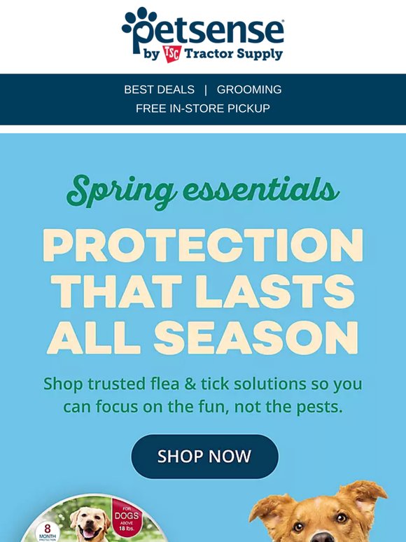 Keep Them Protected, Cool & Entertained All Season