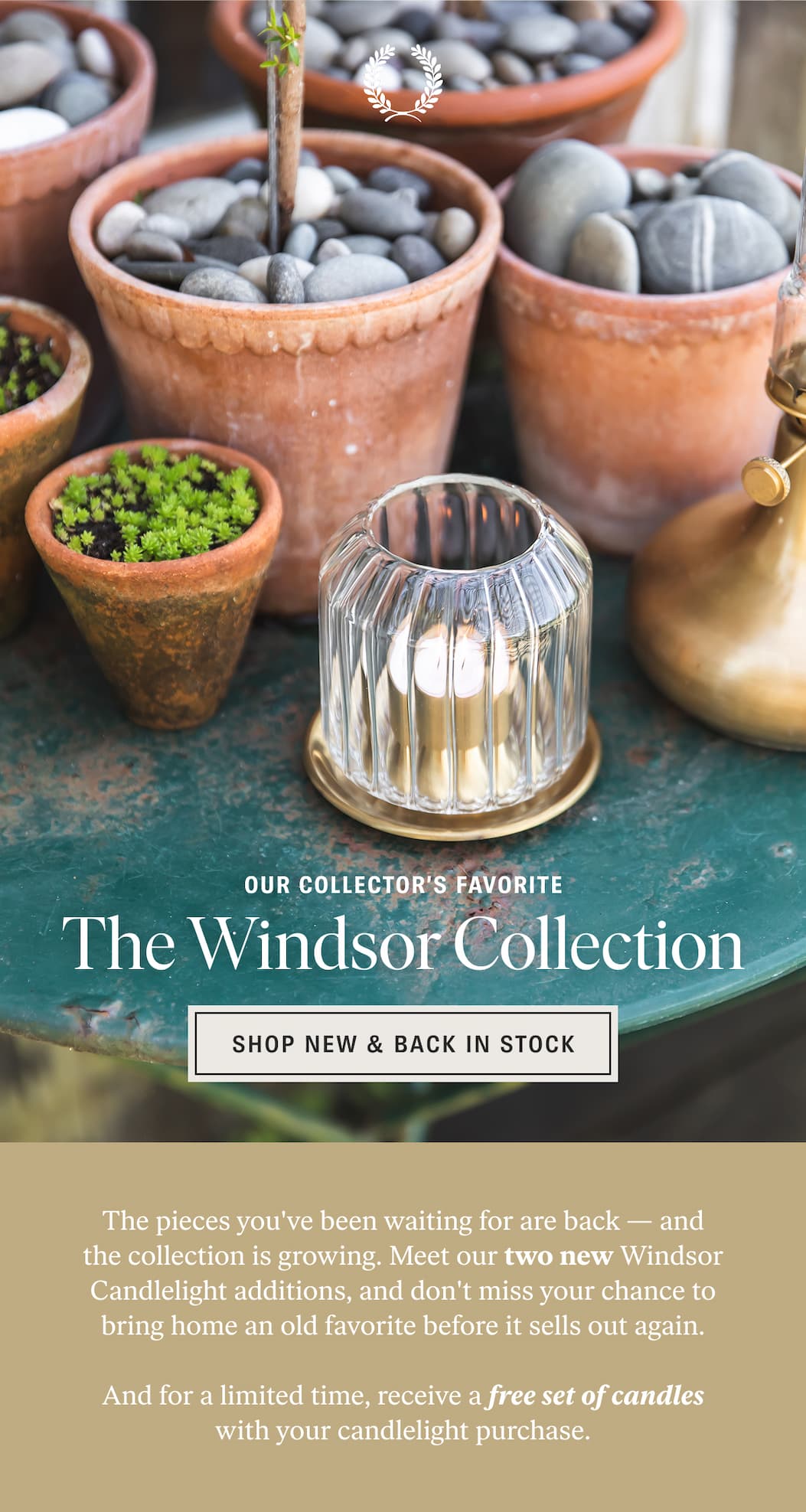 The Windsor Collection: Shop New & Back in Stock