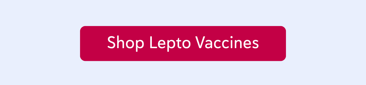 Shop Lepto Vaccines