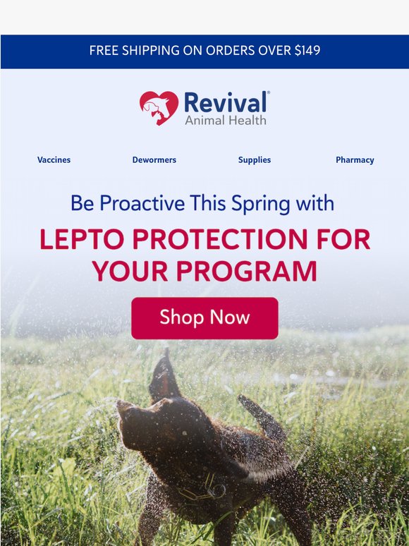 Stay Ahead of Lepto This Season