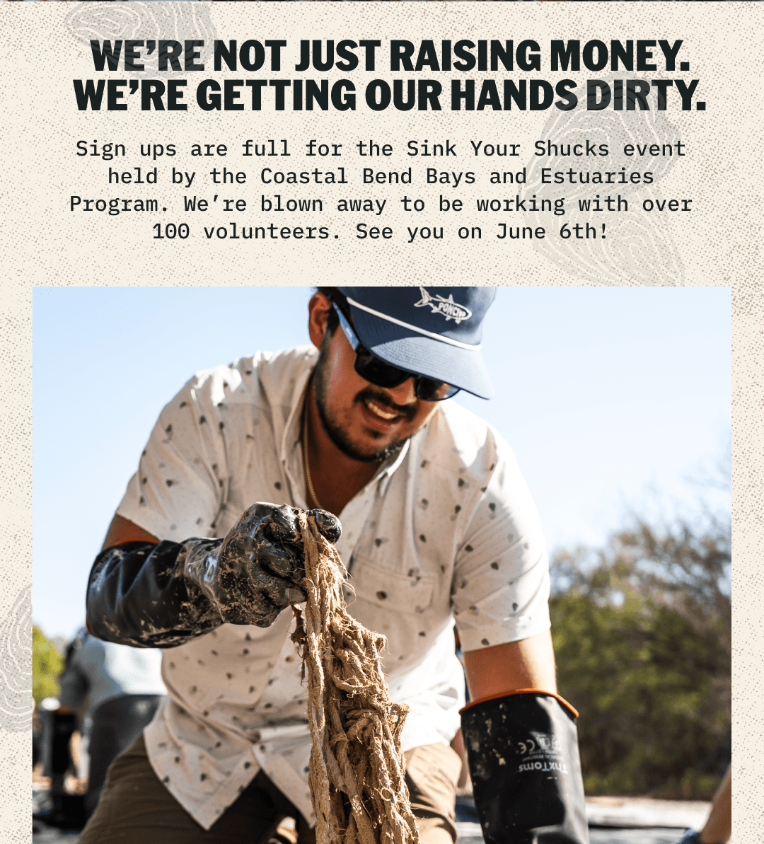 Together we restored +11,800 sq/ft of oyster reef.