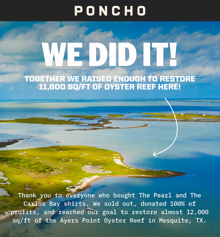 Together we restored +11,800 sq/ft of oyster reef.