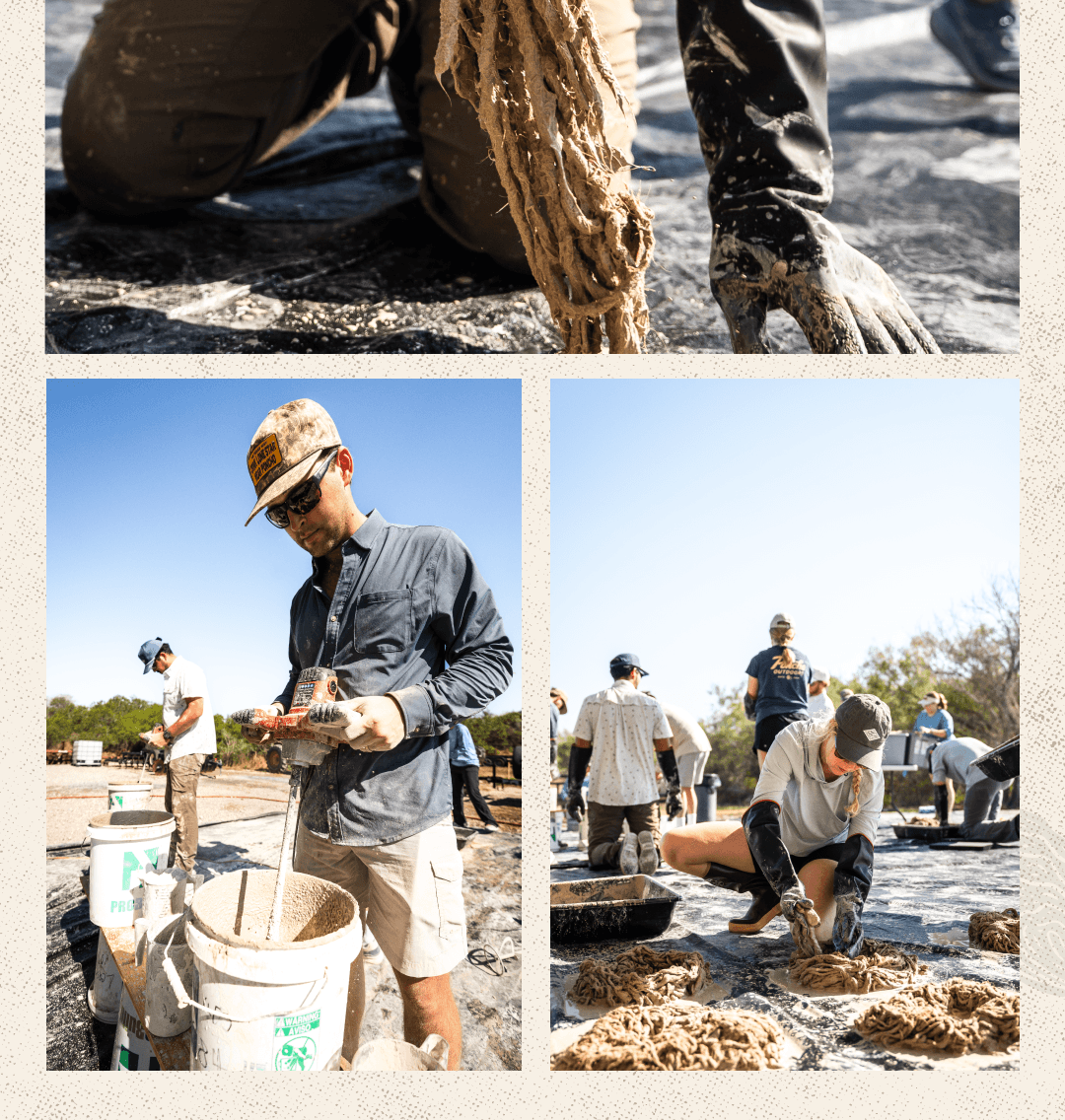 Together we restored +11,800 sq/ft of oyster reef.