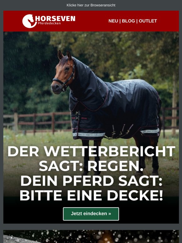 Lass dein Pferd nicht im Regen stehen 🌦️☹️