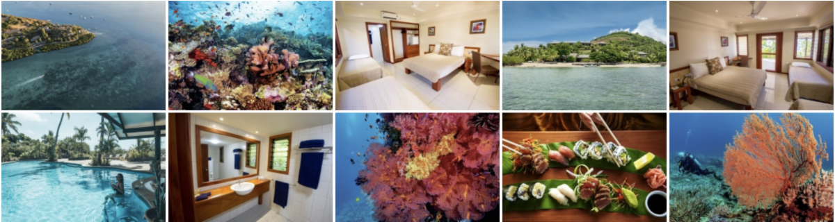 Fiji diving — soft corals, reef life, and tropical waters