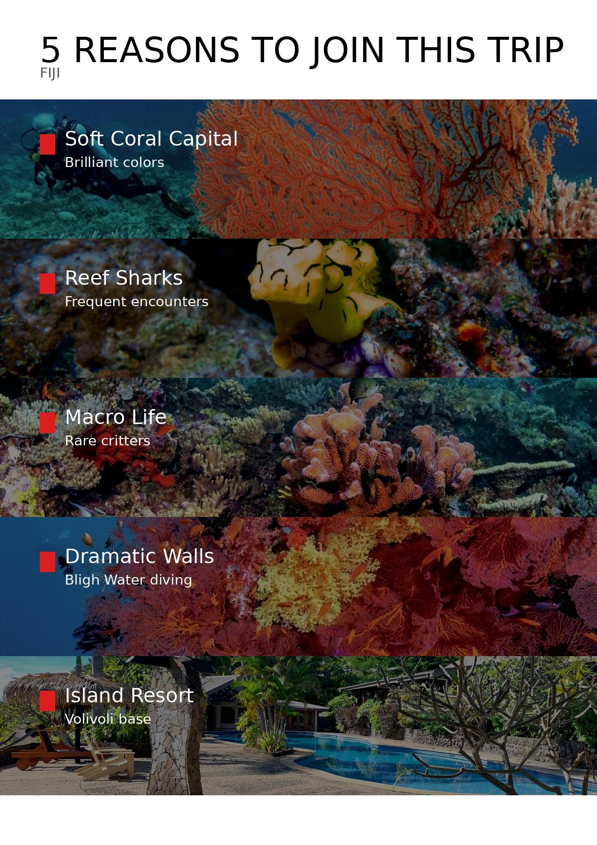 5 Reasons to Dive Fiji