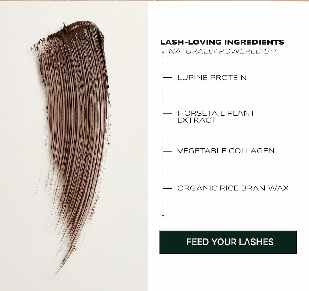 Lash-Loving Ingredients
