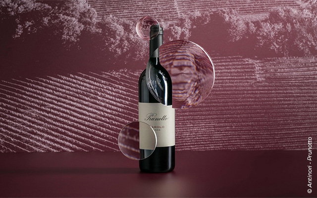 Barolo 2022: wenn Nebbiolo Widrigkeiten in Anmut verwandelt