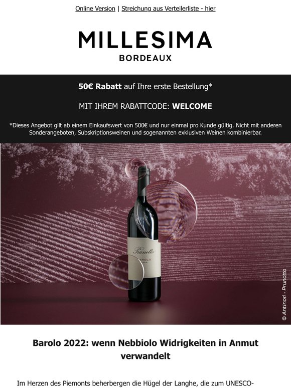 Barolo 2022: Finesse im Herzen eines sonnigen Jahrgangs