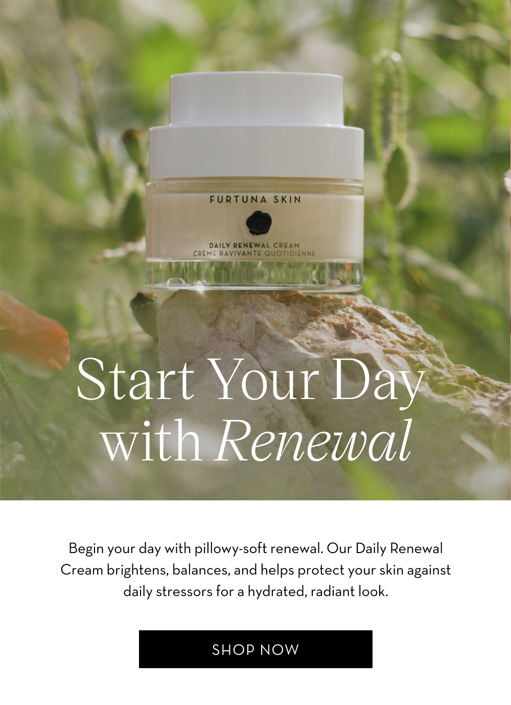 SHOP DAY CREAM