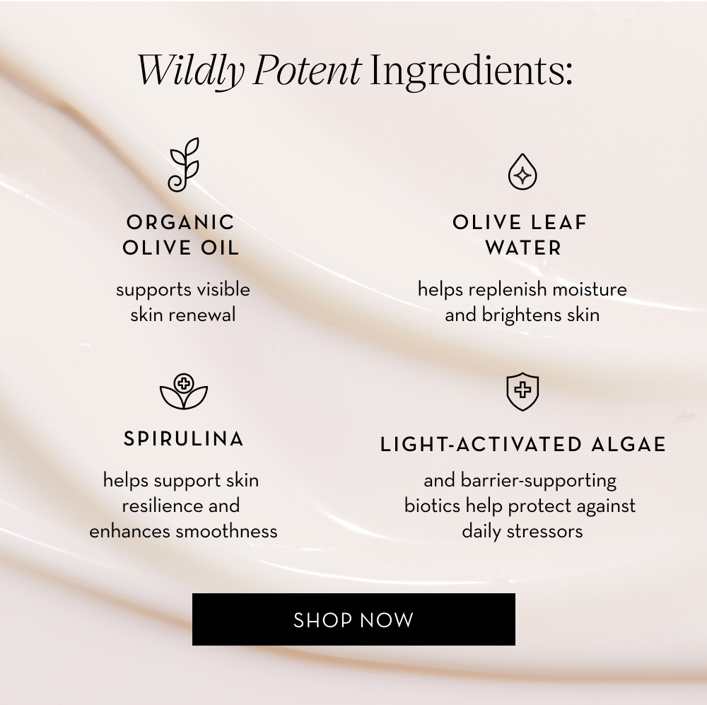 SHOP DAY CREAM
