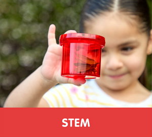 STEM/Curriculum