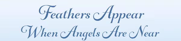 Feathers appear when angels are near.