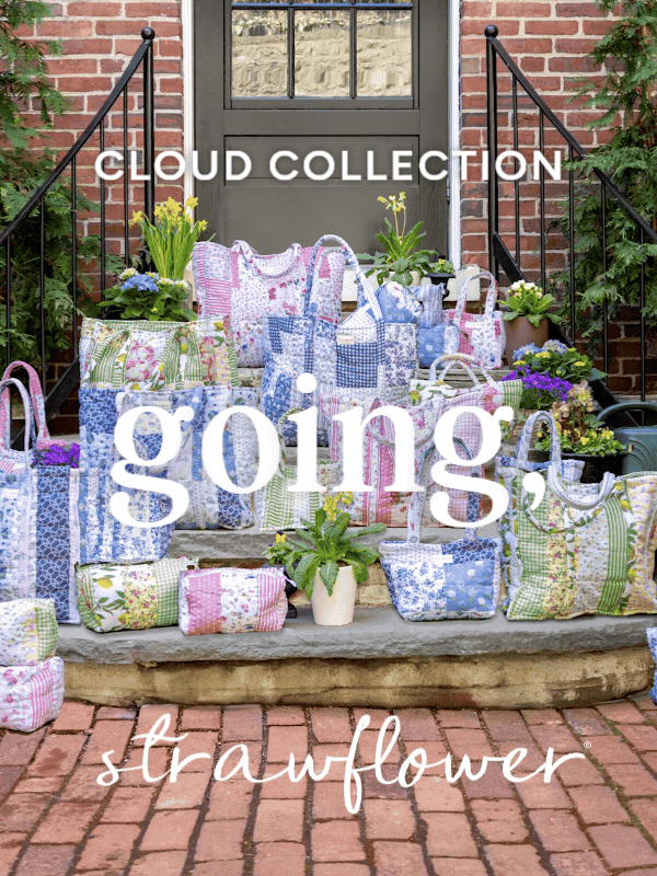 Strawflower Cloud Collection 