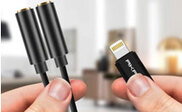 Image Article