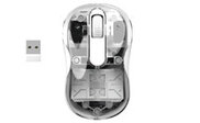 Image Article