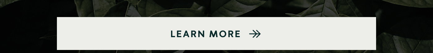Learn more