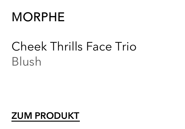 Produktbeschreibung Produktempfehlung Produkt 2