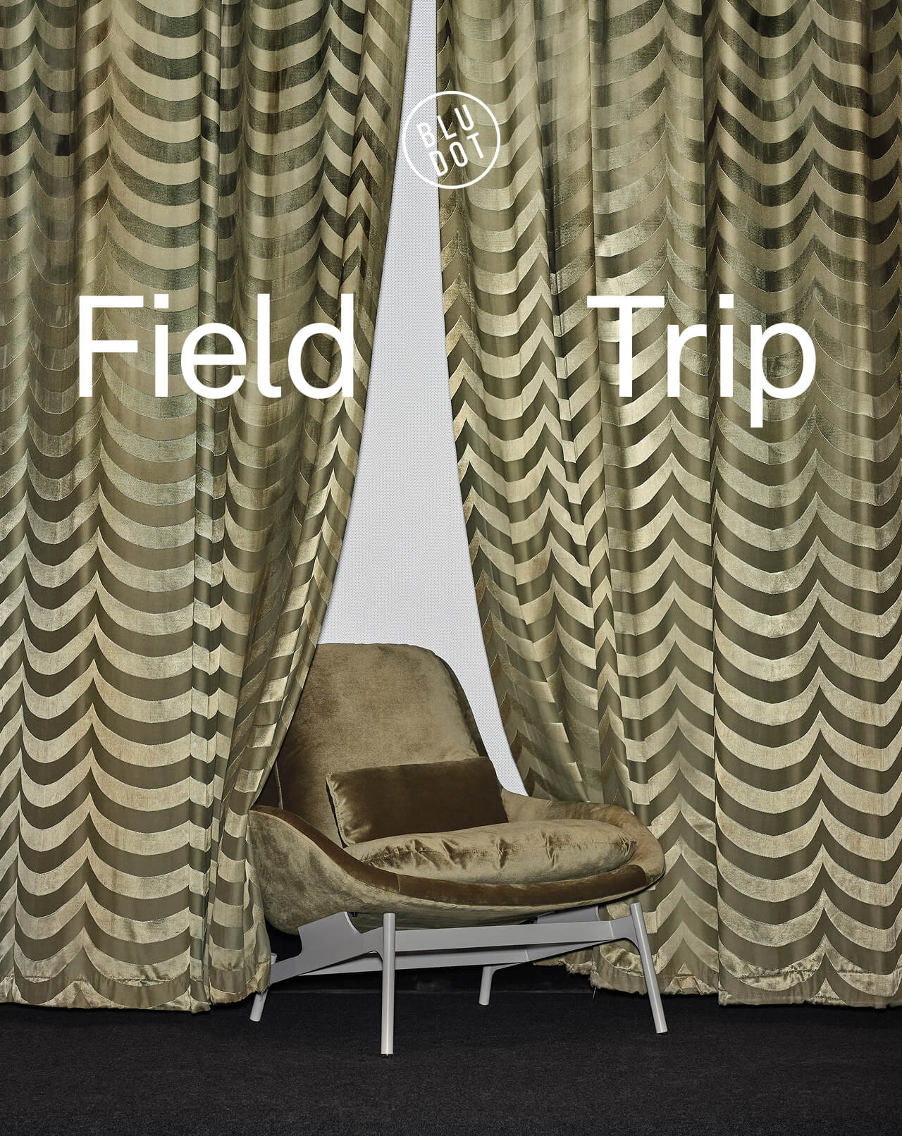 Field Trip