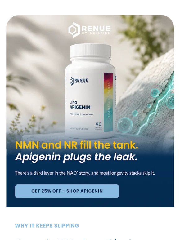 Your NAD⁺ has a leak
