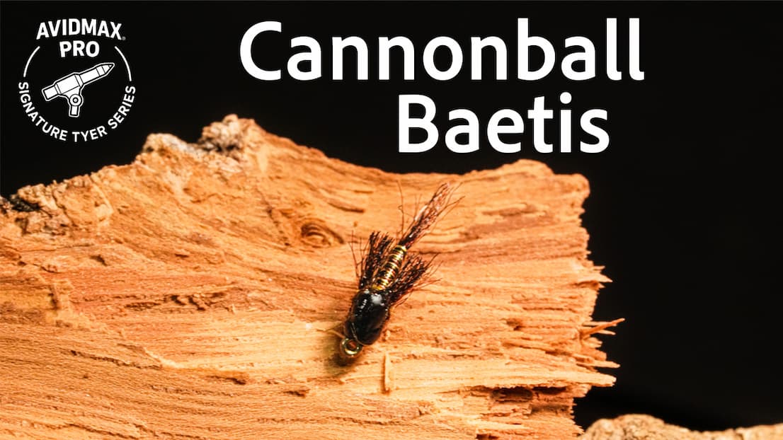 How to Tie the Zola Bug Fly