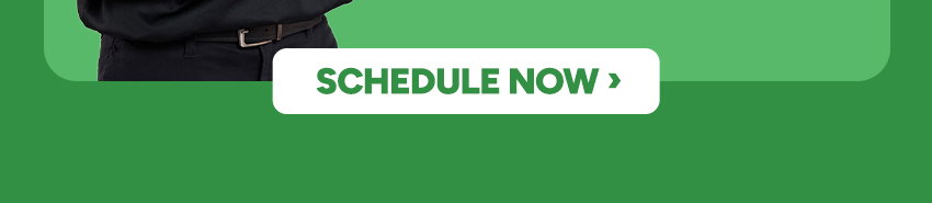 Schedule now >