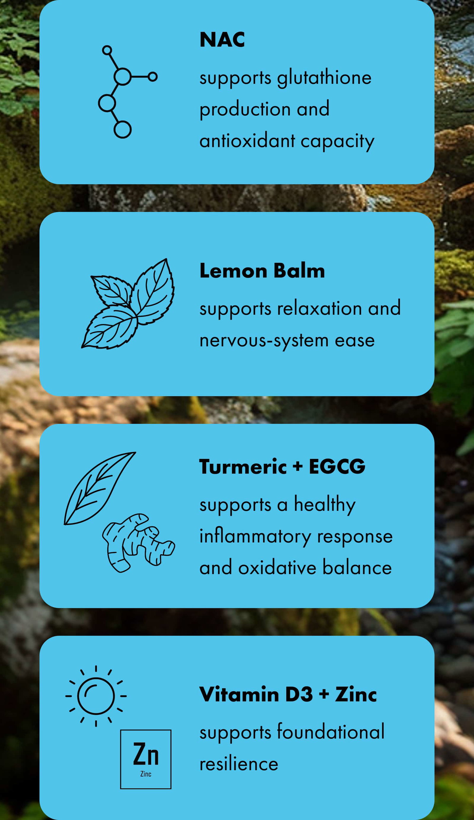 NAC supports glutathione production and antioxidant capacity | Lemon Balm supports relaxation and nervous-system ease | Turmeric + EGCG supports a healthy inflammatory response and oxidative balance | Vitamin D3 + Zinc supports foundational resilience