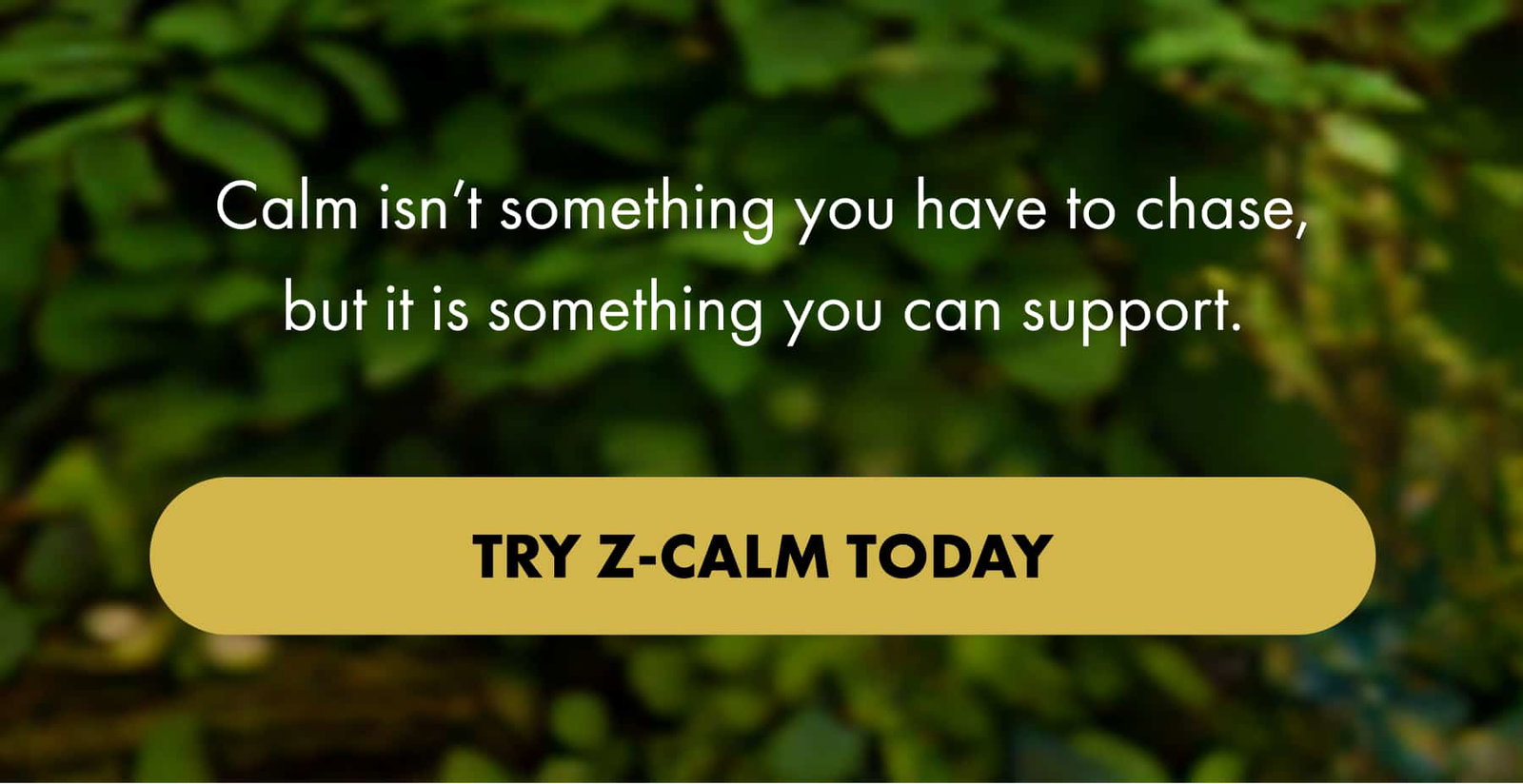 Calm isn’t something you have to chase, but it is something you can support. TRY Z-CALM TODAY