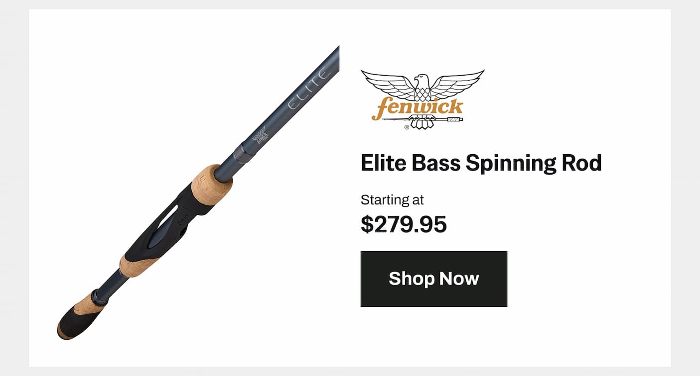 Fenwick Elite Bass Spinning Rod