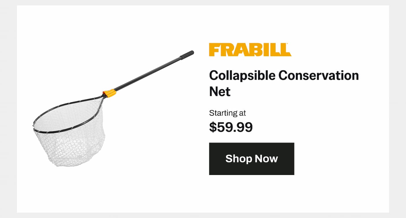 Frabill Collapsible Conservation Net
