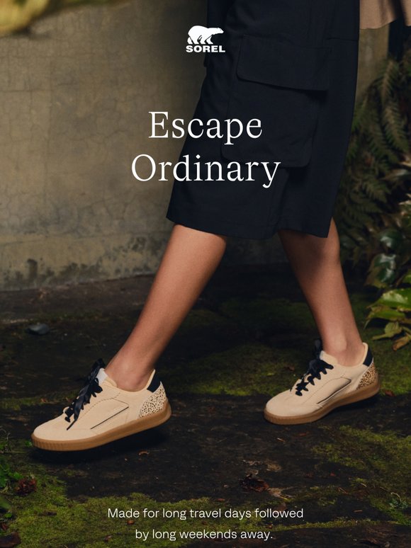 Vacation in Comfort and Style