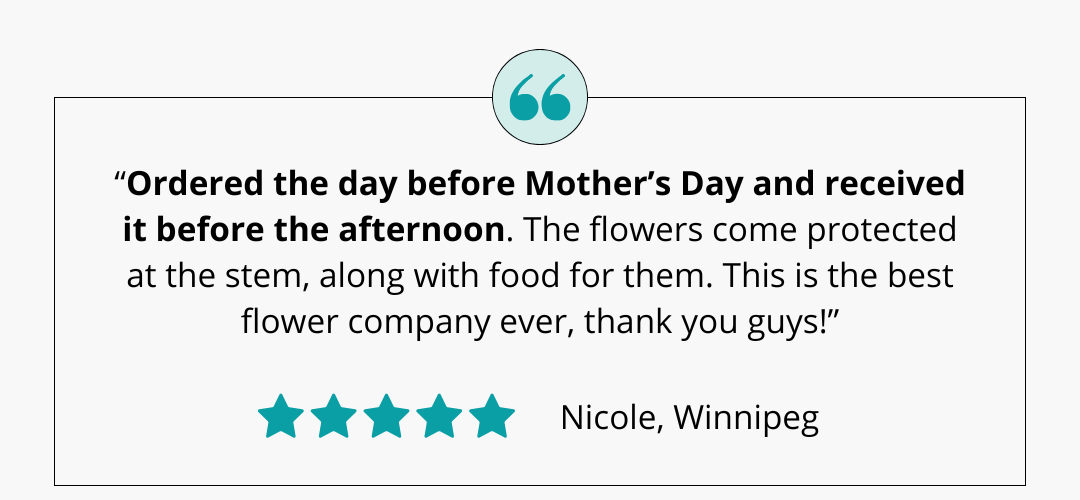 Customer review of Callia