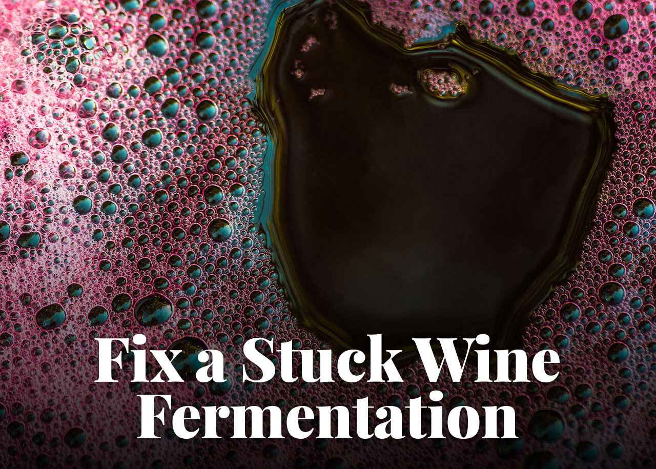 Fix a Stuck Wine Fermentation