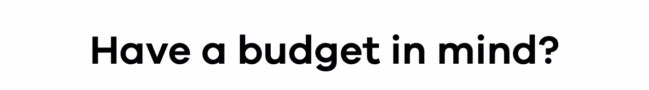 Have a budget in mind?