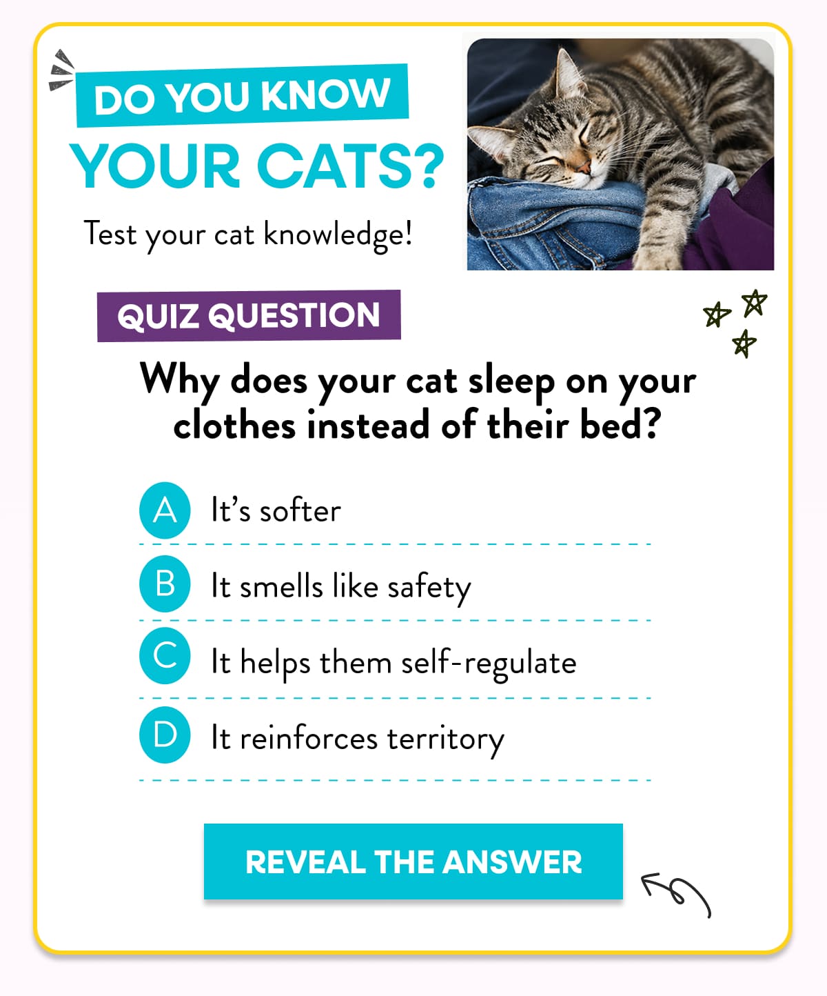 Do you know your cats