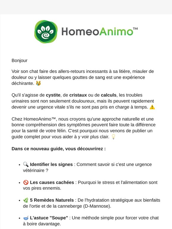 Infection urinaire chez le chat : le guide complet 💚