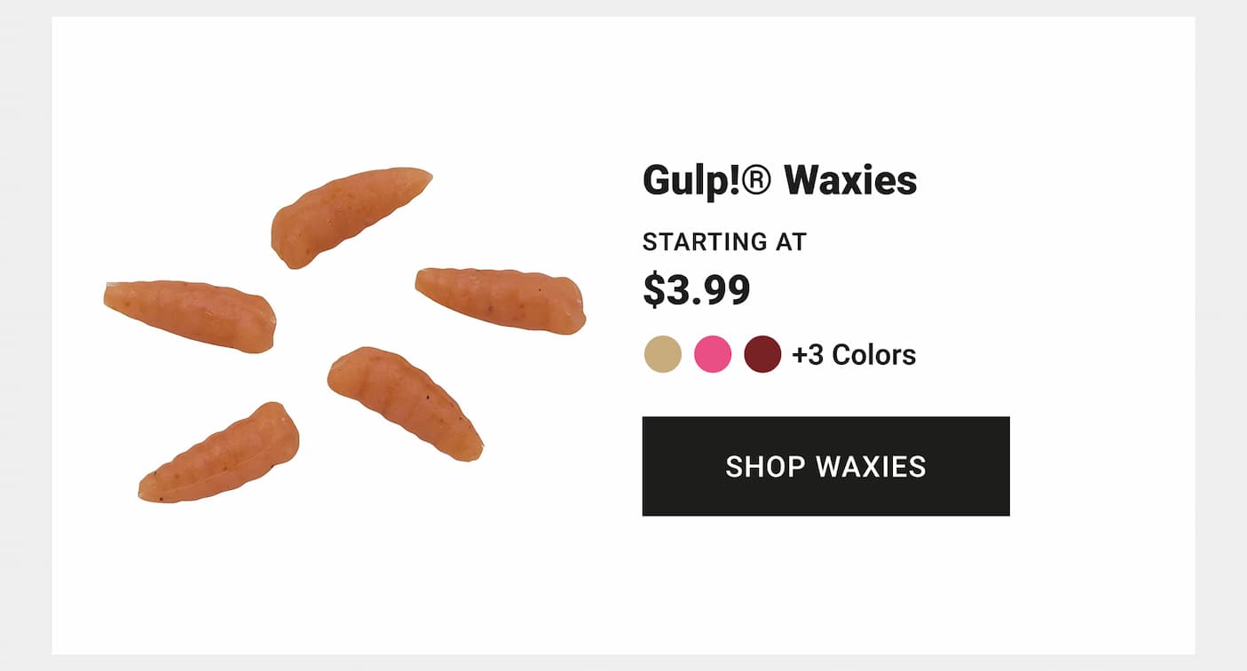 Gulp! Waxies