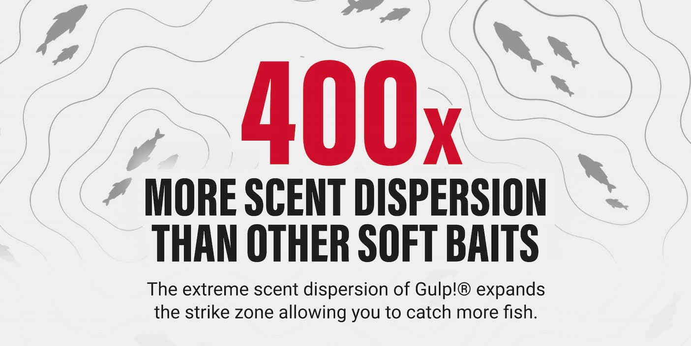 Gulp! Infographic