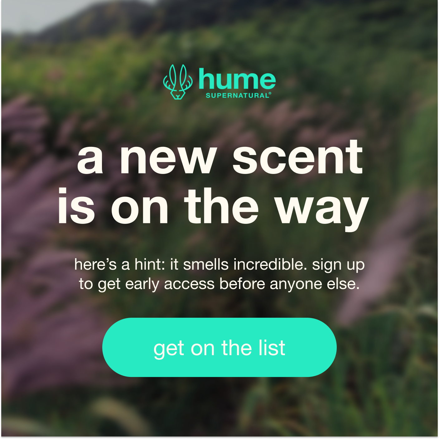new look + new scent...