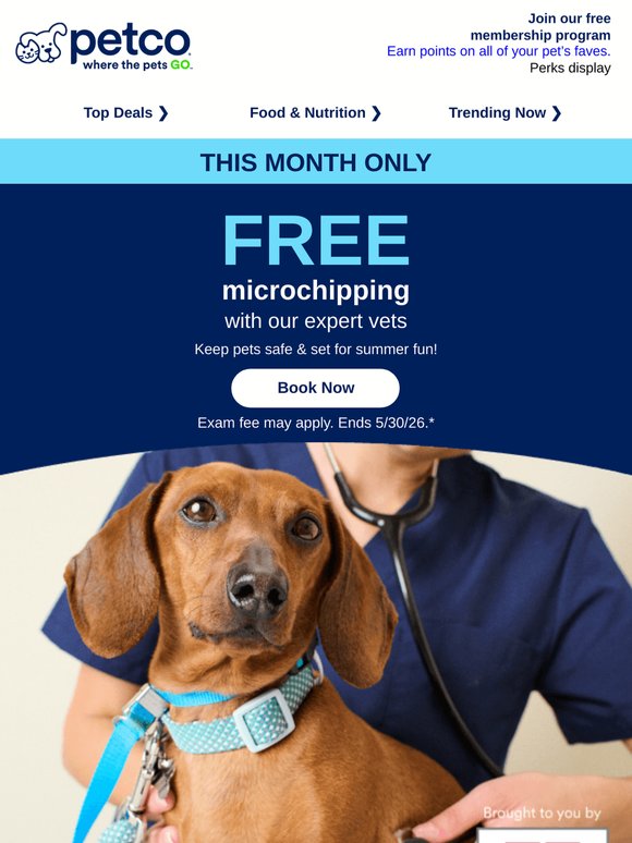 🫡 Get your pet chipped for summer! >>
