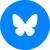 bluesky-circle-color-icon