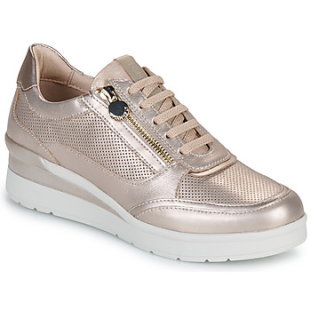 CREAM 52