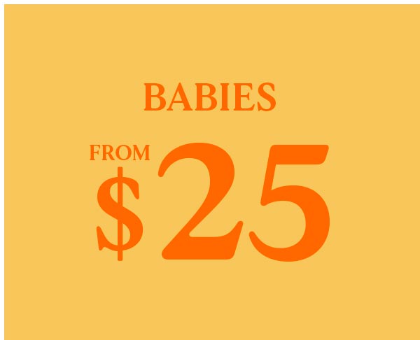 Babies From $25