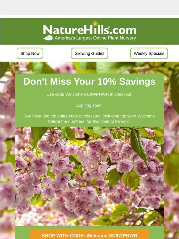 Your 10% Coupon is Expiring Soon!