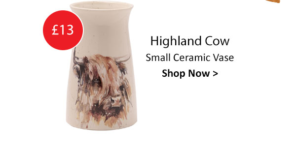 Meg Hawkins Highland Cow Small Ceramic Vase
